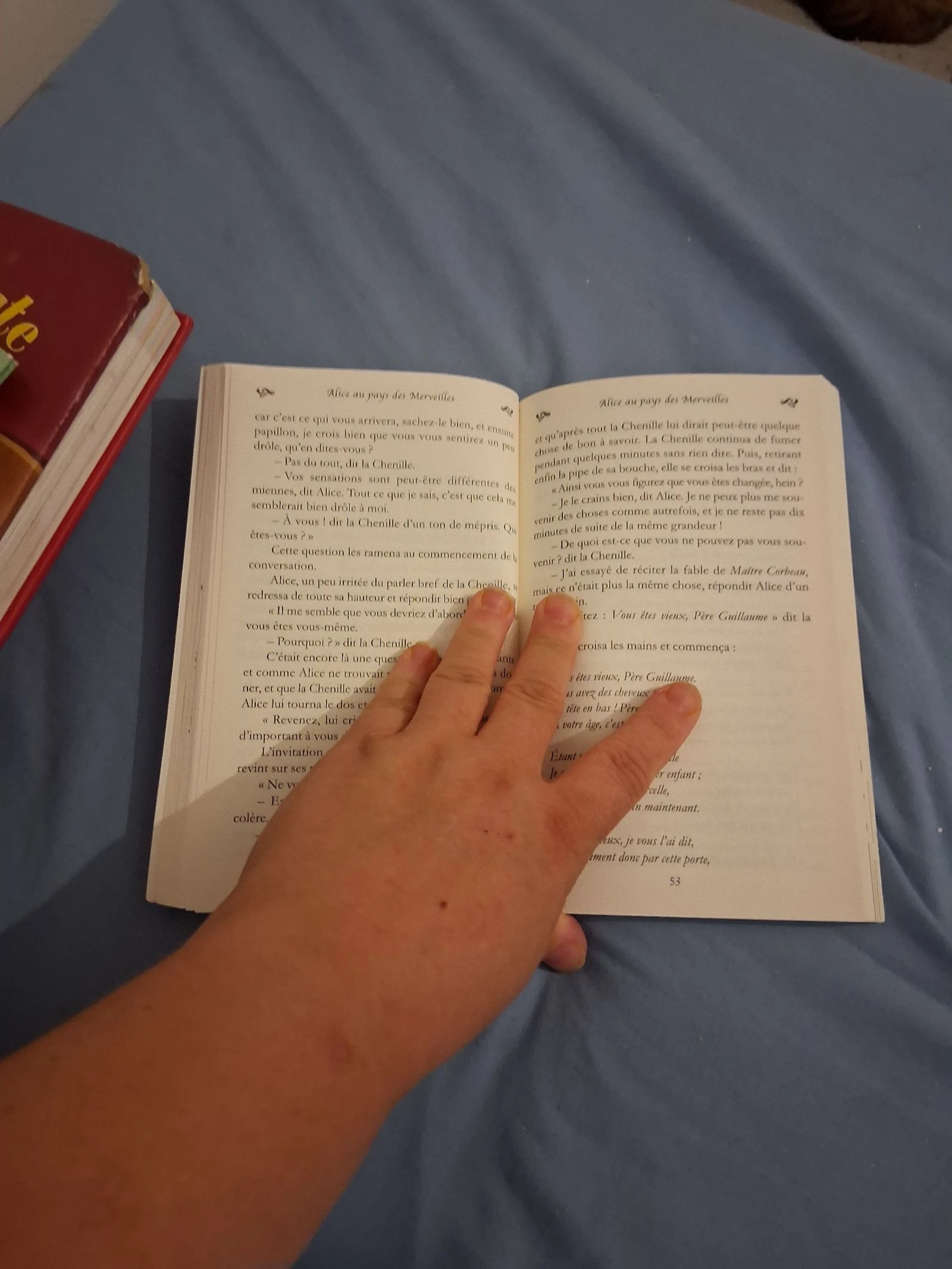Alice in Wonderland – photo 2
